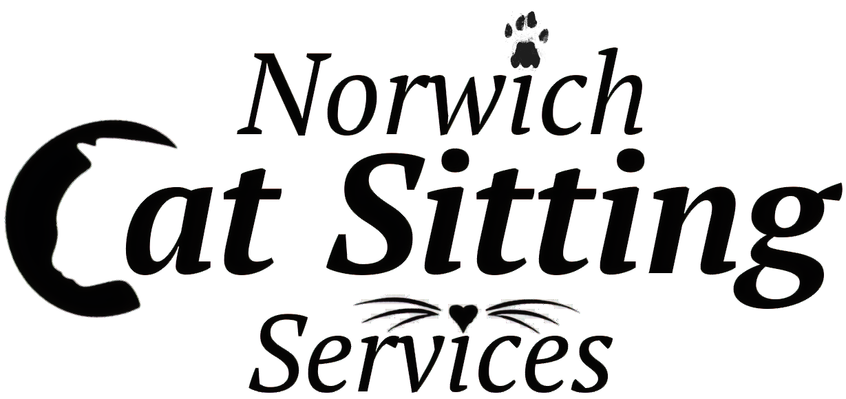 Norwich Cat Sitting Services